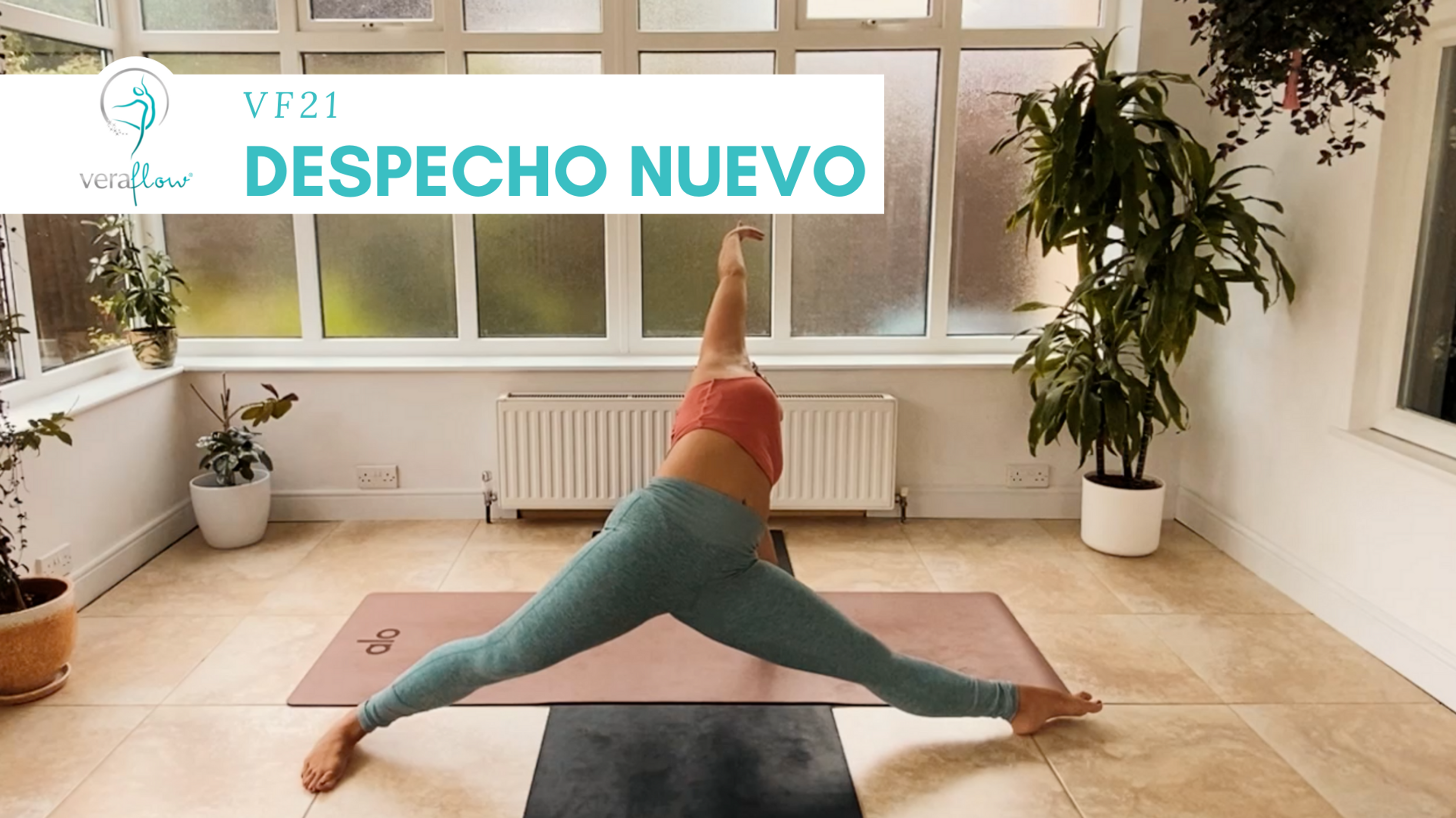 VF21 Despecho Nuevo